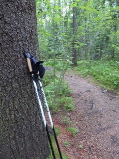 Nordic walking poles in Central Park, Helsinki
